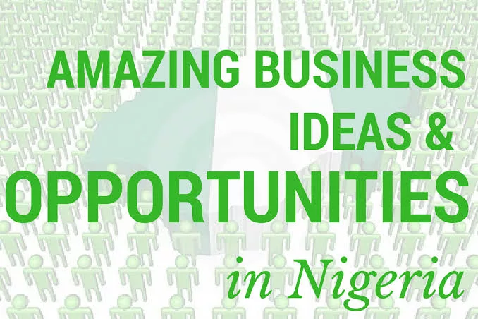 business ideas in Nigeria