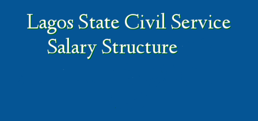 Lagos State Civil Service Salary Structure