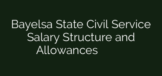 bayelsa State Civil Service Salary Structure